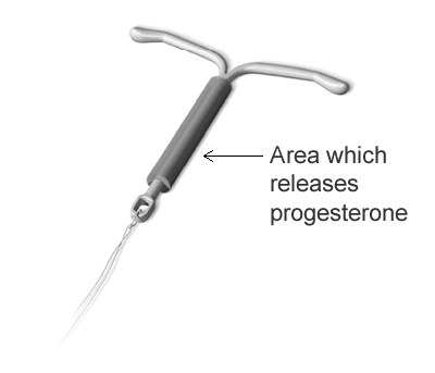 Area which releases progesterone